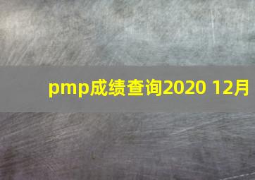 pmp成绩查询2020 12月